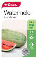 Load image into Gallery viewer, WATERMELON CANDY RED SEED
