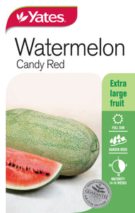 WATERMELON CANDY RED SEED