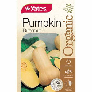 PUMPKIN BUTTERNUT ORGANIC SEED