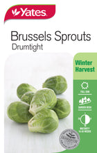 Load image into Gallery viewer, BRUSSELS SPROUTS DRUMTIGHT SEED
