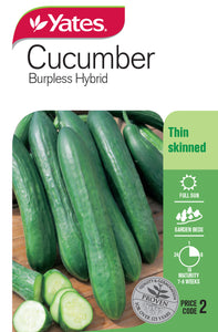 CUCUMBER BURPLESS SEED