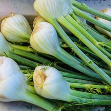 Load image into Gallery viewer, FENNEL FLORENCE ZEFA FINO SEED
