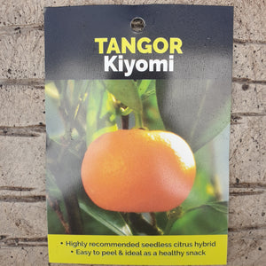 TANGOR KIYOMI 4.7L