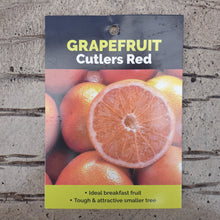 Load image into Gallery viewer, GRAPEFRUIT CUTLERS RED 4.7L
