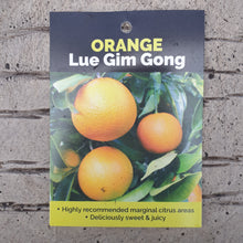 Load image into Gallery viewer, ORANGE LUE GIM GONG 4.7L
