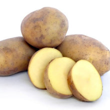 Load image into Gallery viewer, POTATO SEED AGRIA 1kg
