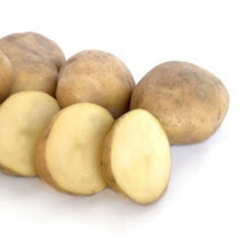 Load image into Gallery viewer, POTATO SEED JERSEY BENNE 1kg
