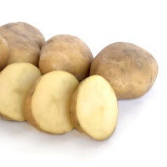 POTATO SEED JERSEY BENNE 1kg