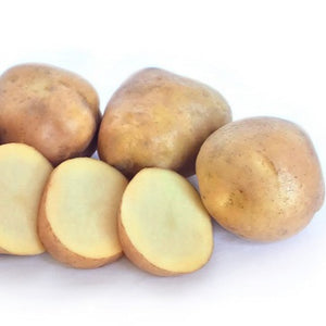 POTATO SEED KARAKA 1kg