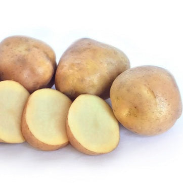 POTATO SEED KARAKA 1kg