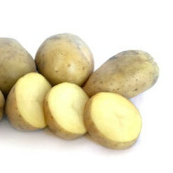 POTATO SEED LISETA 1kg