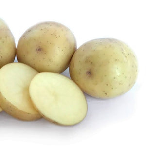 POTATO SEED NADINE 1kg