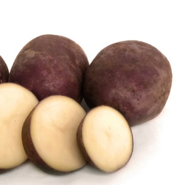 POTATO SEED PURPLE PASSION 1kg