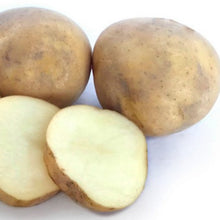 Load image into Gallery viewer, POTATO SEED ROCKET 1kg
