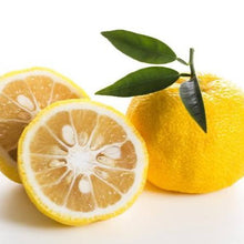 Load image into Gallery viewer, LEMON YUZU 4.7L
