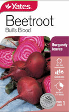 Load image into Gallery viewer, BEETROOT BULLS BLOOD SEED
