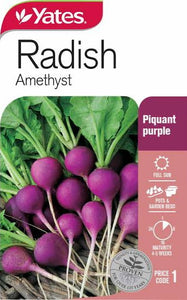 RADISH AMETHYST SEED