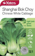 Load image into Gallery viewer, CABBAGE BOK CHOY SHANGHAI SEED
