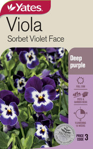 VIOLA SORBET VIOLET FACE SEED