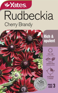 RUDBECKIA CHERRY BRANDY SEED