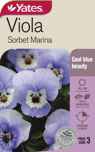 VIOLA SORBET MARINA SEED