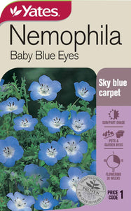 NEMOPHILA BABY BLUE EYES SEED