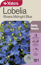 Load image into Gallery viewer, LOBELIA RIVIERA MIDNIGHT BLUE SEED
