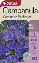 Load image into Gallery viewer, CAMPANULA CARPATHIAN BELLFLOWER SEED
