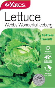 LETTUCE ICEBERG WEBBS WONDERFUL SEED