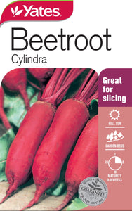 BEETROOT CYLINDRA SEED
