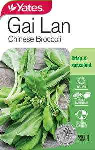 BROCCOLI CHINESE KAILAAN SEED