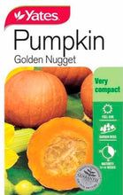 Load image into Gallery viewer, PUMPKIN GOLDEN NUGGET SEED
