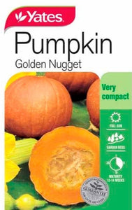 PUMPKIN GOLDEN NUGGET SEED