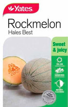 Load image into Gallery viewer, ROCK MELON HALES BEST SEED
