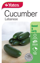 Load image into Gallery viewer, CUCUMBER LEBANESE SEED
