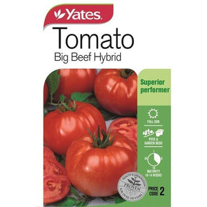 TOMATO BIG BEEF SEED