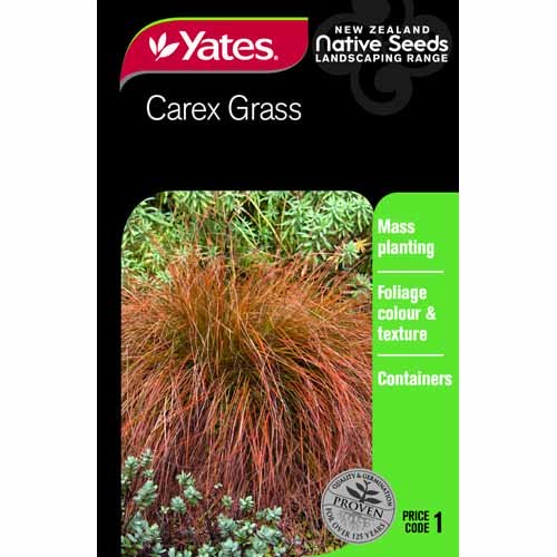 CAREX GRASS SEED