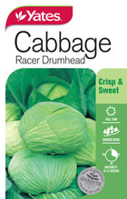 Load image into Gallery viewer, CABBAGE RACER DRUMHEAD SEED
