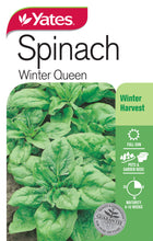 Load image into Gallery viewer, SPINACH WINTER QUEEN SEED
