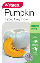 Load image into Gallery viewer, PUMPKIN GREY CROWN SEED
