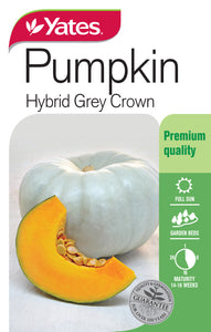 PUMPKIN GREY CROWN SEED