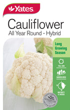 Load image into Gallery viewer, CAULIFLOWER ALL YEAR ROUND SEED
