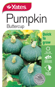 PUMPKIN BUTTERCUP SEED