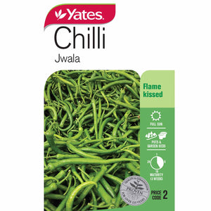 CHILLI JWALA SEED