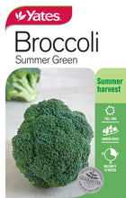 Load image into Gallery viewer, BROCCOLI SUMMER GREEN SEED
