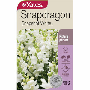 SNAPDRAGON SNAPSHOT WHITE SEED