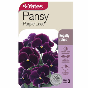 PANSY PURPLE LACE SEED