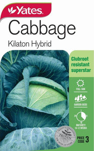 CABBAGE KILATON HYBRID SEED