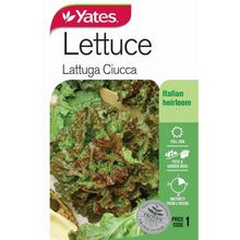 Load image into Gallery viewer, LETTUCE LATTUGA CIUCCA SEED
