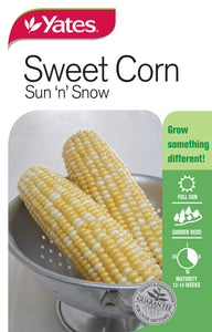 SWEETCORN SUN & SNOW SEED